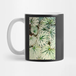 Begonia Leaves Mug